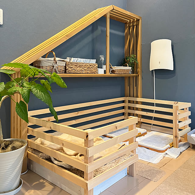 yumimaruさんの部屋