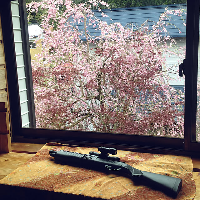 aoinokimiさんの実例写真