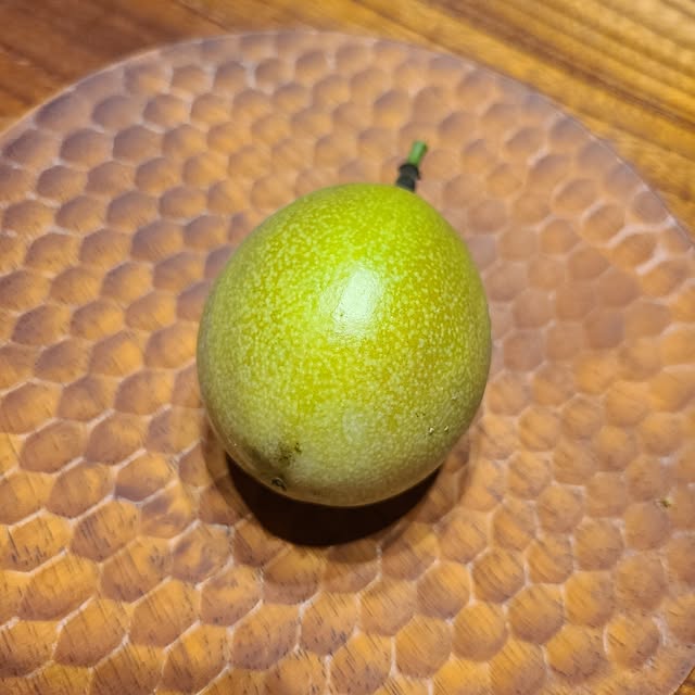 Rubiconさんの実例写真