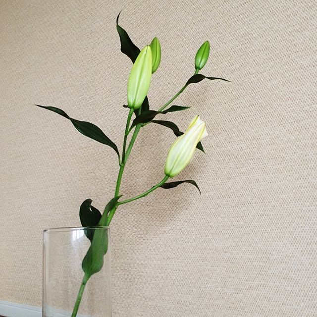 Neveさんの実例写真