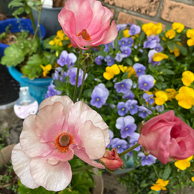 natsumiさんの部屋