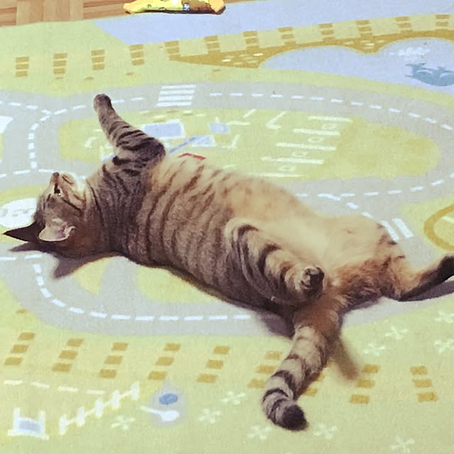 Yukiさんの実例写真