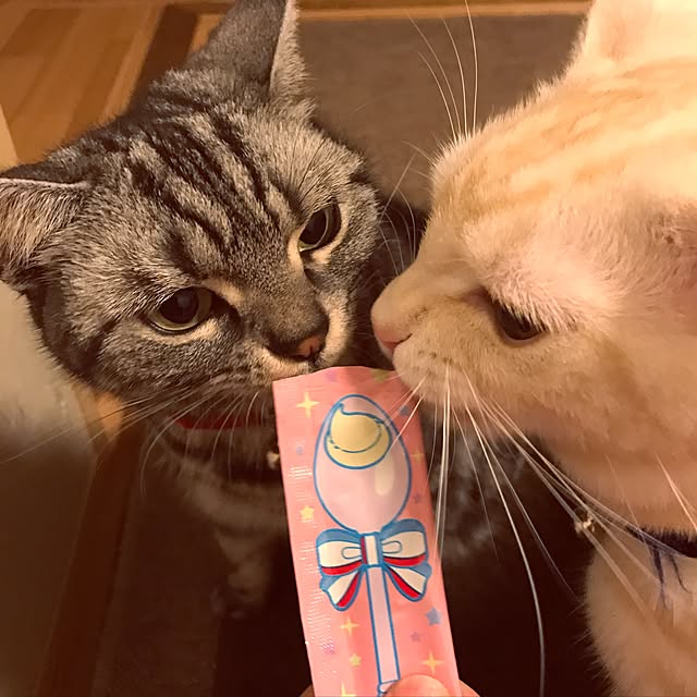 hiyupan88さんの実例写真