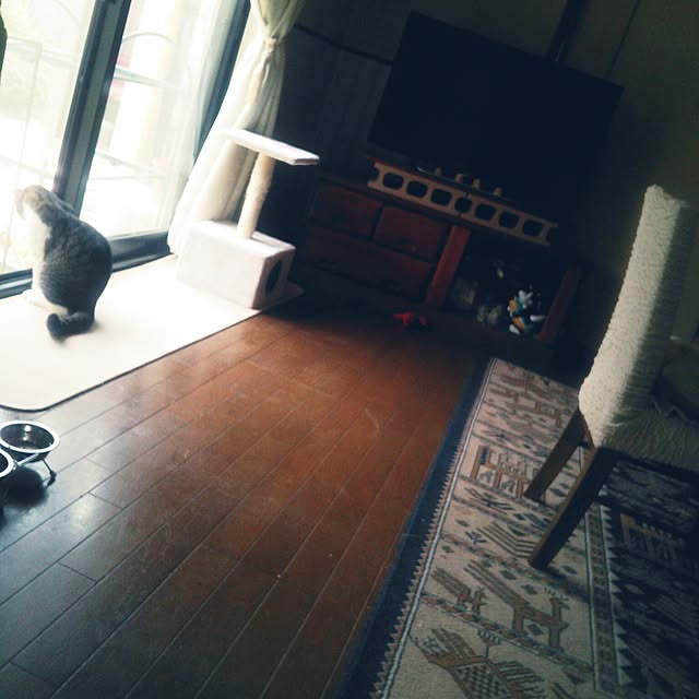 tomopさんの実例写真