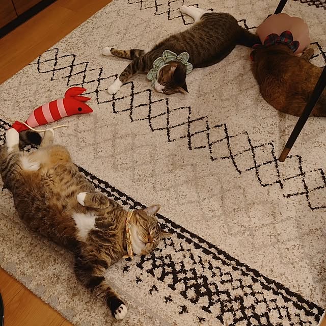 mochicoさんの実例写真