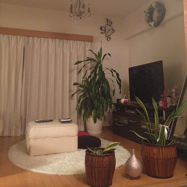 akaringoさんの実例写真