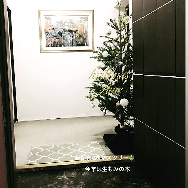 mayuuuchanさんの実例写真