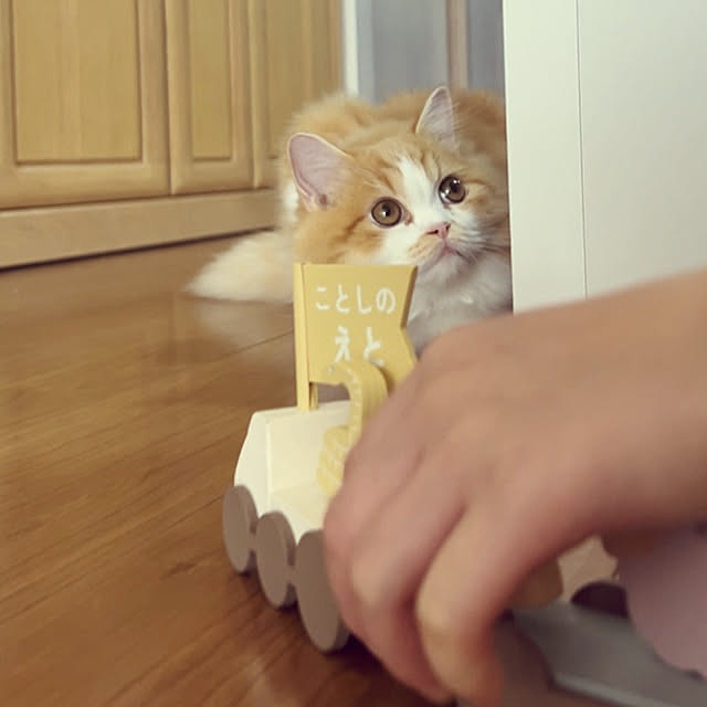 junさんの実例写真
