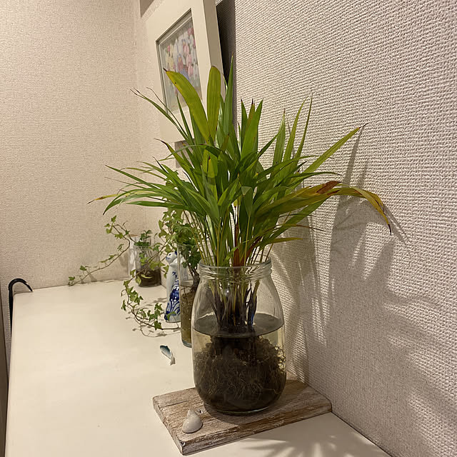 観葉植物/雑貨/玄関/入り口のインテリア実例 - 2020-11-06 11:01:44