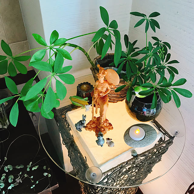 Nagakoさんの実例写真
