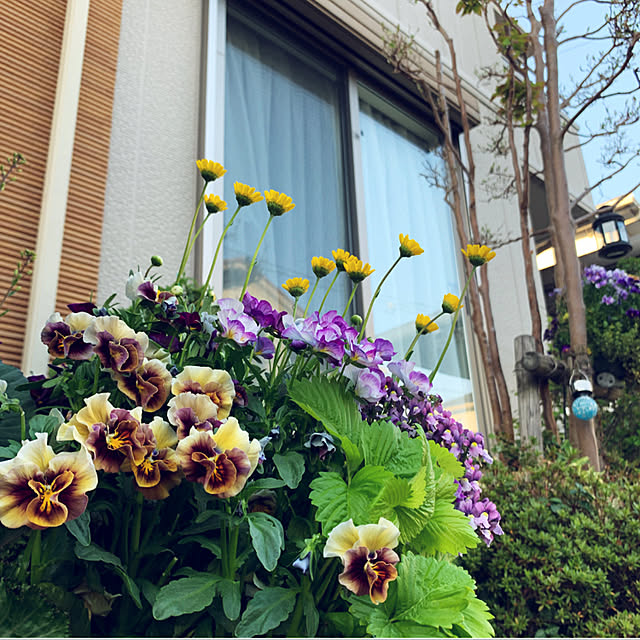 yukarin-gardenさんの実例写真