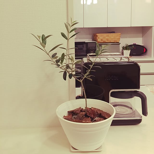 yuuka.hさんの実例写真