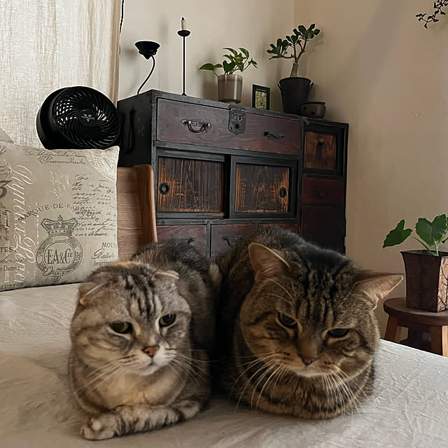 kuuさんの実例写真