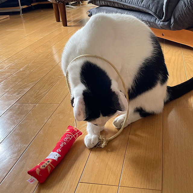 nobikoさんの部屋