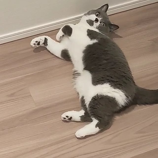 KEIKOさんの実例写真