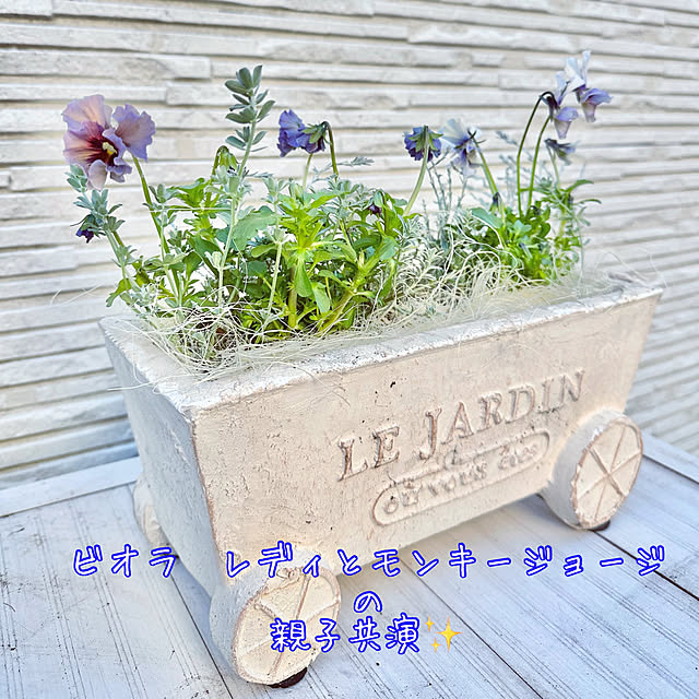 Re_さんの部屋