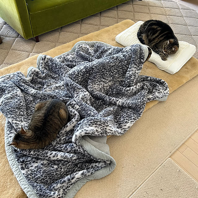 mikomaruさんの部屋