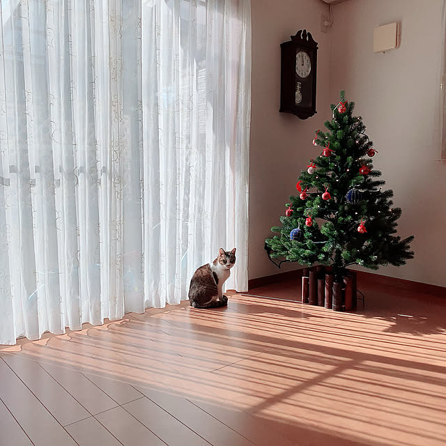 emiさんの実例写真
