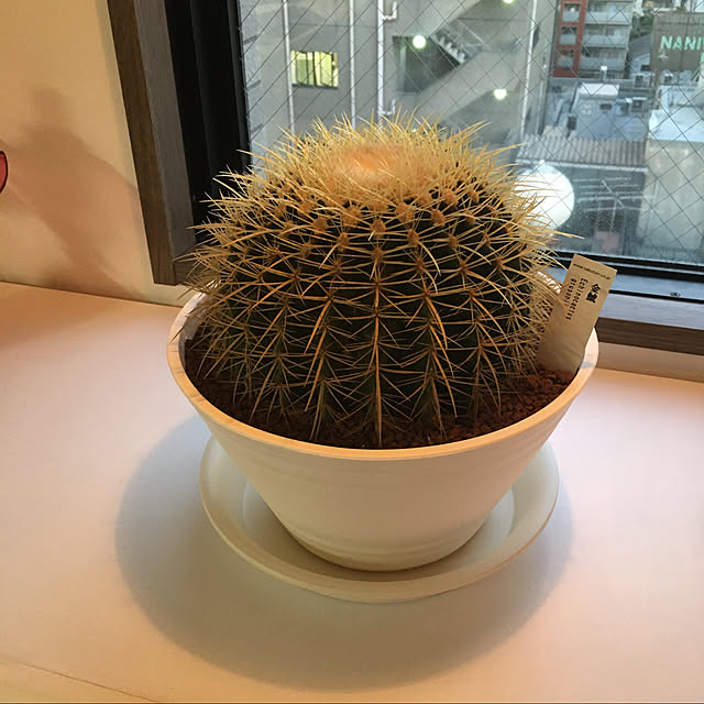shinさんの実例写真