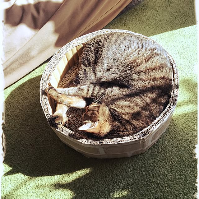 shigimiさんの実例写真