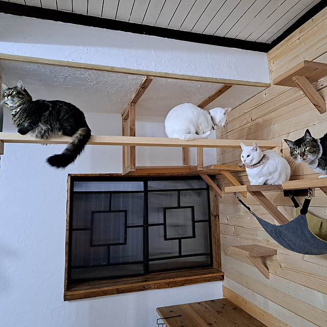ayaさんの実例写真