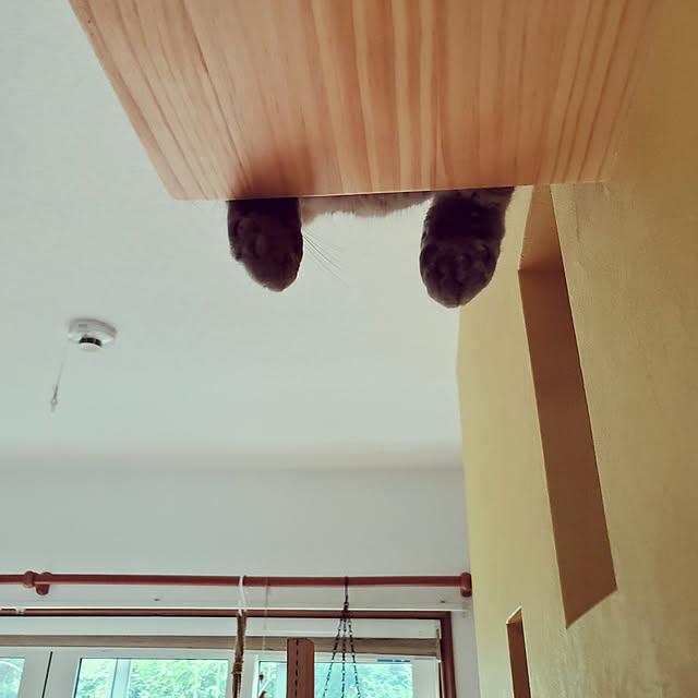 hiroさんの実例写真