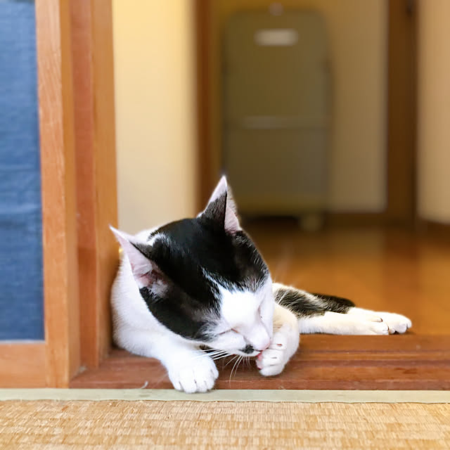 nobikoさんの実例写真