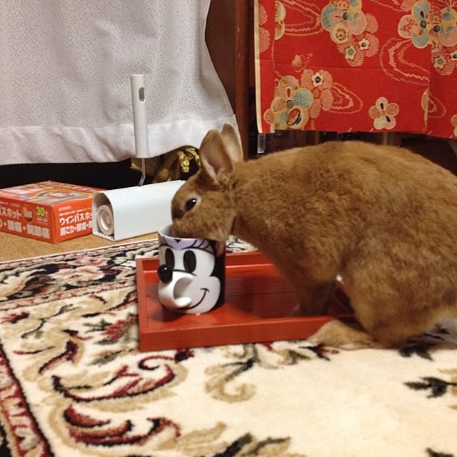 Hiroshiさんの実例写真