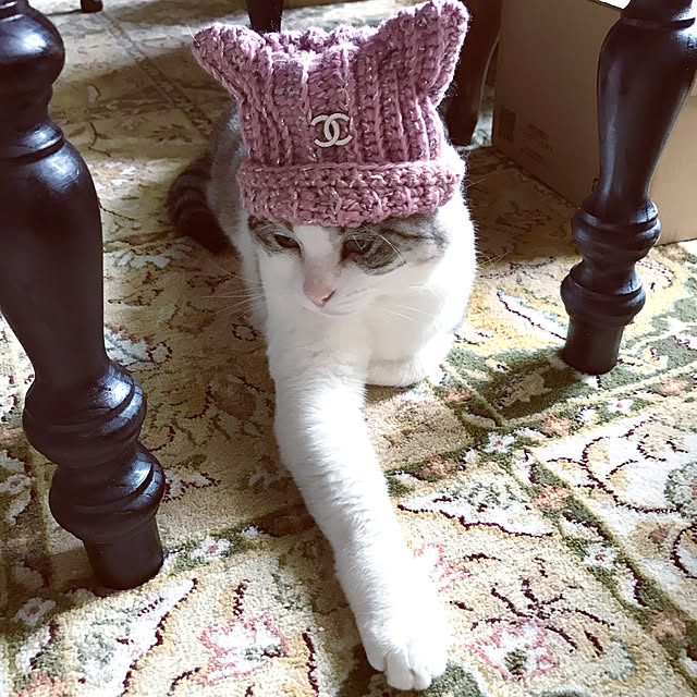 emmyyさんの実例写真