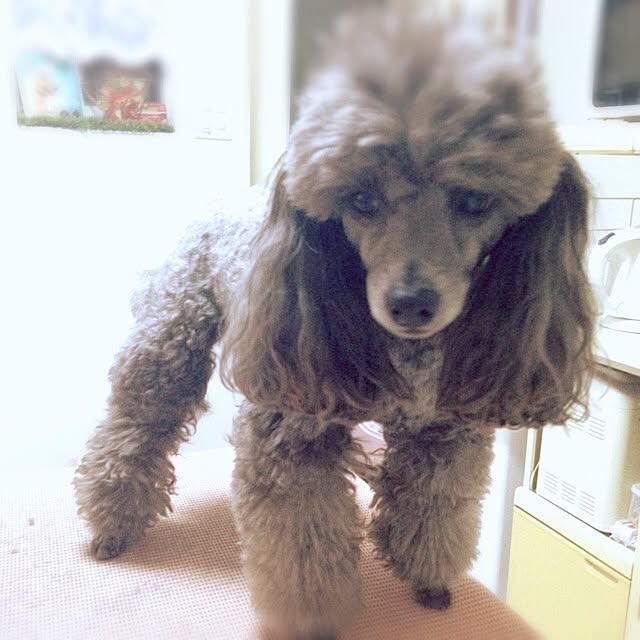chunさんの実例写真