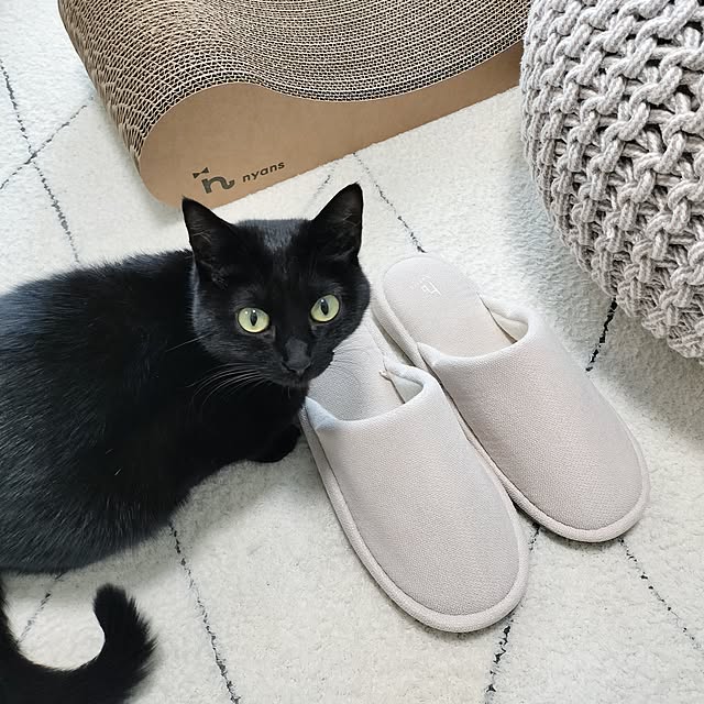 sakuraさんの部屋