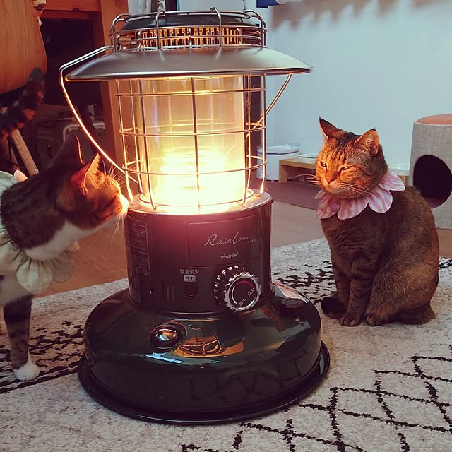 mochicoさんの部屋