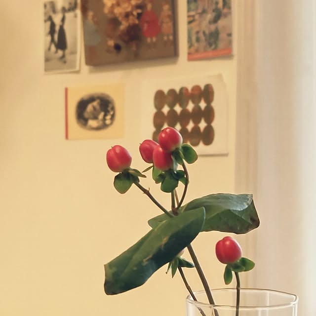 parfaitさんの実例写真