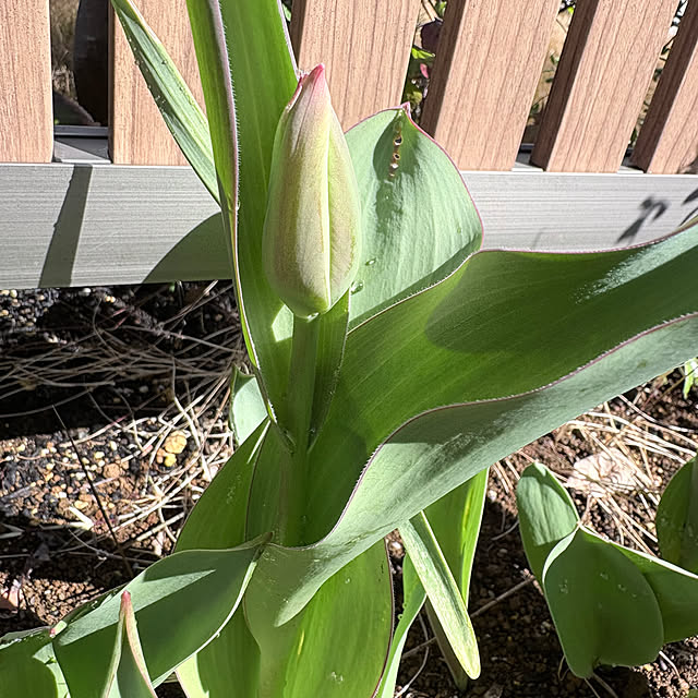 bestwishes.ryokoさんの部屋