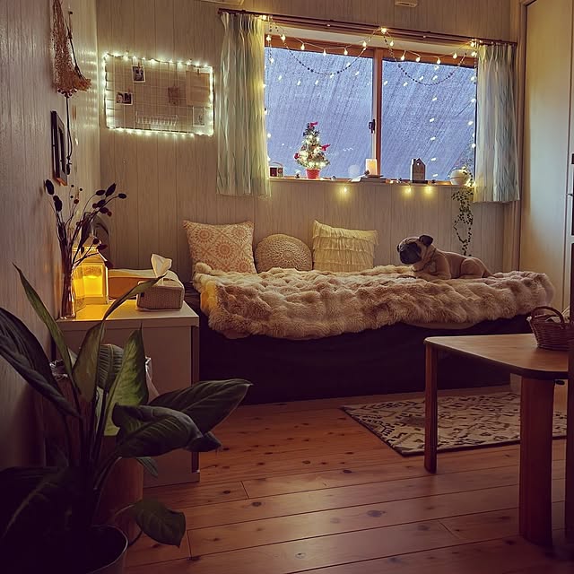 teanmugiさんの実例写真