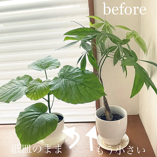 kawauso15さんの部屋