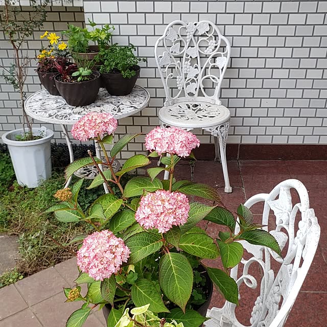 Mayumi8888さんの実例写真