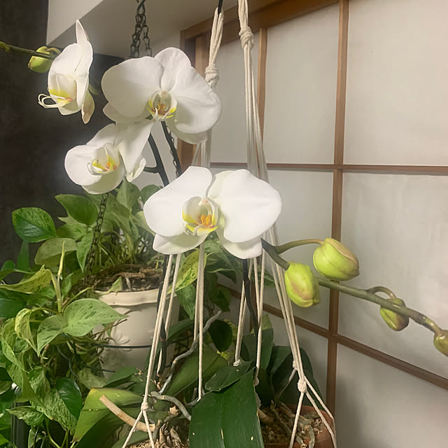 Aqettyさんの部屋