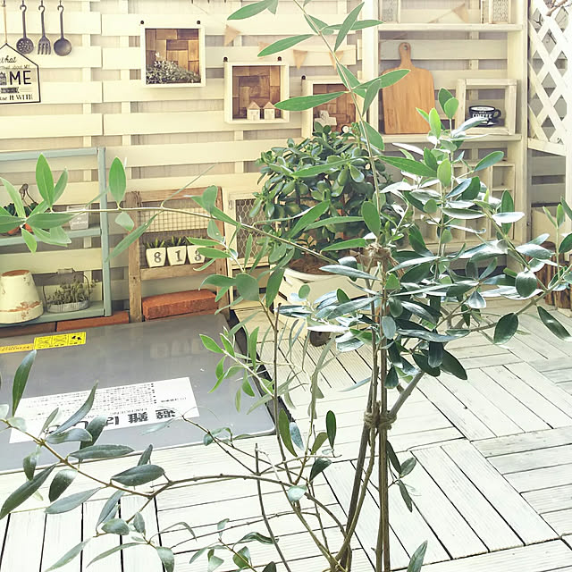 flannel.さんの実例写真