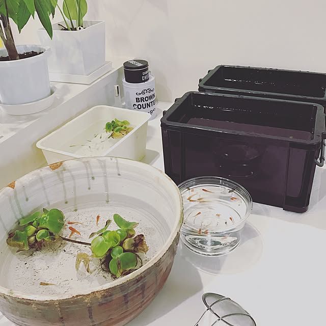 annasanさんの実例写真