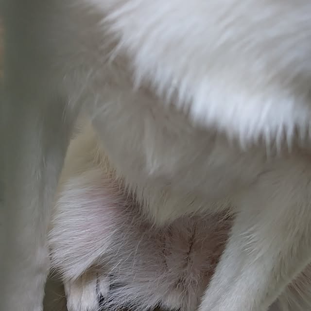 asaさんの部屋