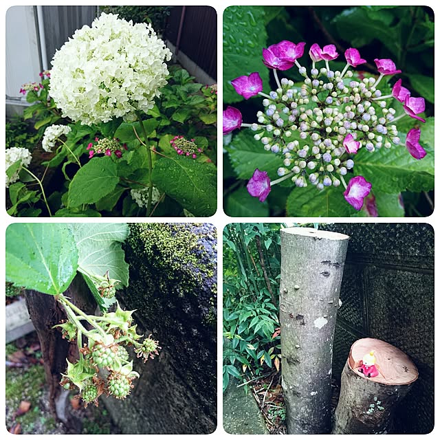monblanさんの実例写真