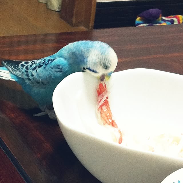 p.mamaさんの実例写真