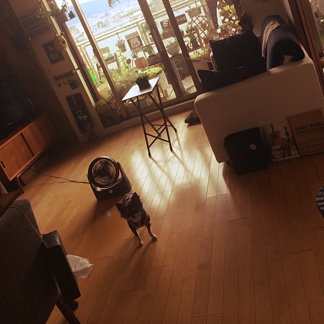 riechocoさんの実例写真