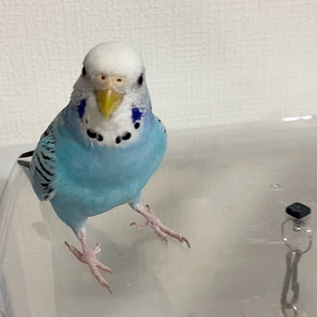 ohanaさんの部屋