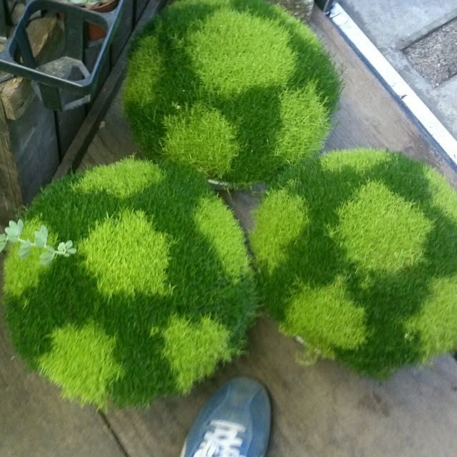 GreenWorksさんの実例写真