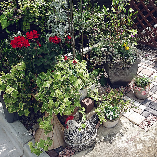 asaさんの実例写真