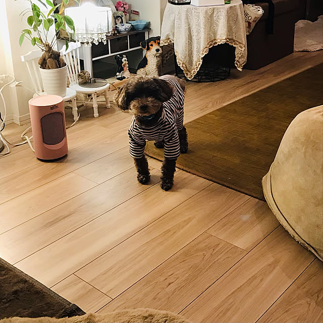 rubyさんの実例写真
