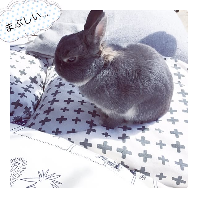 kusuttoさんの実例写真