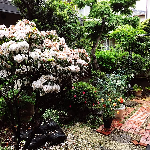 m-ktry.0530mikaさんの実例写真